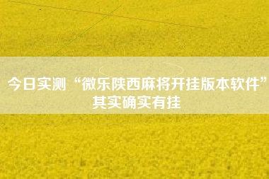 今日实测“微乐陕西麻将开挂版本软件	”其实确实有挂