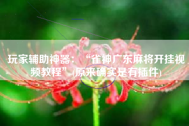 玩家辅助神器：“雀神广东麻将开挂视频教程”(原来确实是有插件)