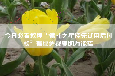 今日必看教程“德扑之星挂先试用后付款”揭秘透视辅助万能挂