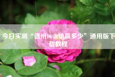 今日实测“德州10/20输赢多少”通用版下载教程