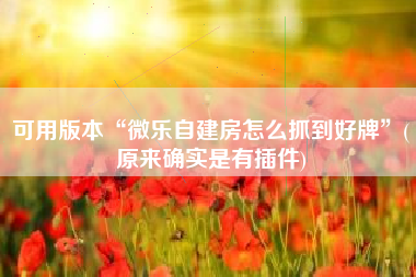 可用版本“微乐自建房怎么抓到好牌”(原来确实是有插件)