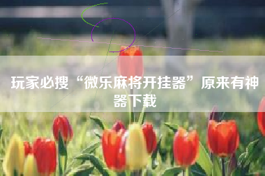 玩家必搜“微乐麻将开挂器	”原来有神器下载