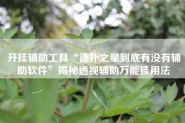 开挂辅助工具“德扑之星到底有没有辅助软件	”揭秘透视辅助万能挂用法