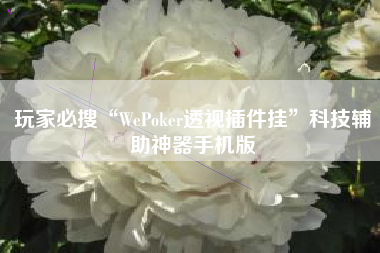 玩家必搜“WePoker透视插件挂	”科技辅助神器手机版