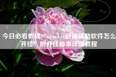 今日必看教程“wepoker透视辅助软件怎么开挂”附开挂脚本详细教程