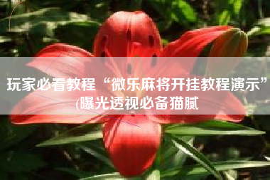 玩家必看教程“微乐麻将开挂教程演示”(曝光透视必备猫腻