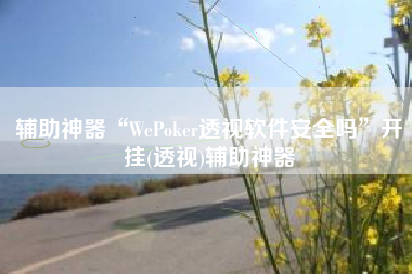 辅助神器“WePoker透视软件安全吗”开挂(透视)辅助神器
