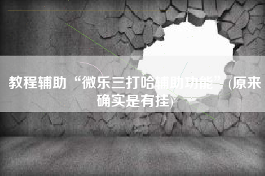 教程辅助“微乐三打哈辅助功能”(原来确实是有挂)