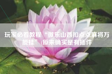 玩家必看教程“微乐山西扣点点麻将万能挂	”(原来确实是有插件