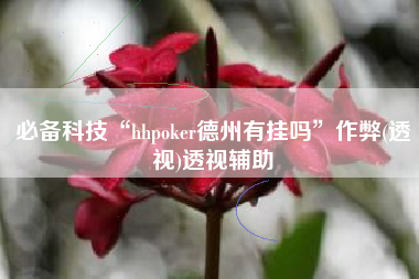 必备科技“hhpoker德州有挂吗”作弊(透视)透视辅助