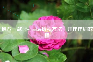 推荐一款“wepoker透视方法”开挂详细教程