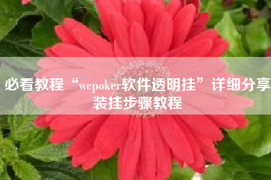 必看教程“wepoker软件透明挂”详细分享装挂步骤教程