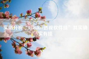 实测分析“WePoKer透视软件挂”其实确实有挂