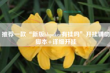 推荐一款“新版hhpoker有挂吗”开挂辅助脚本+详细开挂
