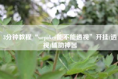 3分钟教程“wepoker能不能透视”开挂(透视)辅助神器