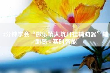 3分钟学会“微乐填大坑开挂辅助器”辅助器 - 实时智能