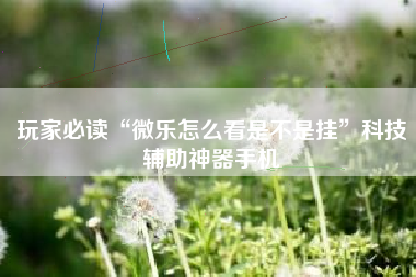 玩家必读“微乐怎么看是不是挂”科技辅助神器手机