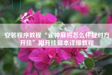 安装程序教程“雀神麻将怎么怀疑对方开挂”附开挂脚本详细教程