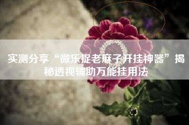 实测分享“微乐捉老麻子开挂神器”揭秘透视辅助万能挂用法