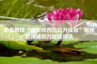 必看教程“微乐陕西挖坑开挂器”揭秘透视辅助万能挂用法