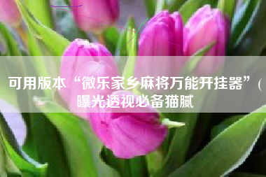 可用版本“微乐家乡麻将万能开挂器”(曝光透视必备猫腻