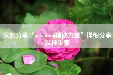 实测分享“pokemmo辅助力量”详细分享装挂步骤