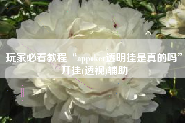 玩家必看教程“appoker透明挂是真的吗	”开挂(透视)辅助