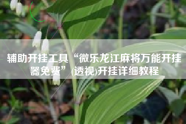 辅助开挂工具“微乐龙江麻将万能开挂器免费”(透视)开挂详细教程