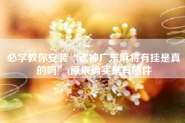 必学教你安装“雀神广东麻将有挂是真的吗	”(原来确实是有插件