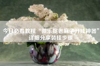 今日必看教程“微乐捉老麻子开挂神器	”详细分享装挂步骤