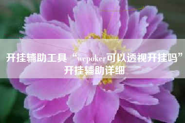 开挂辅助工具“wepoker可以透视开挂吗”开挂辅助详细