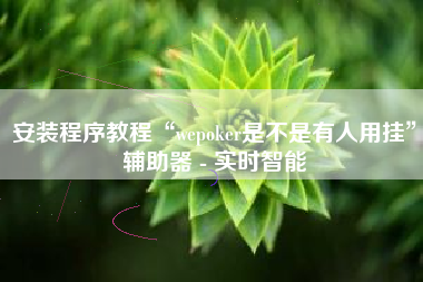 安装程序教程“wepoker是不是有人用挂	”辅助器 - 实时智能