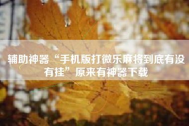 辅助神器“手机版打微乐麻将到底有没有挂”原来有神器下载