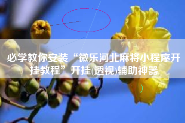 必学教你安装“微乐河北麻将小程序开挂教程”开挂(透视)辅助神器