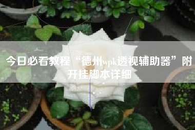 今日必看教程“德州wpk透视辅助器”附开挂脚本详细