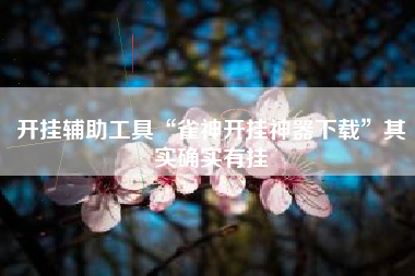 开挂辅助工具“雀神开挂神器下载	”其实确实有挂