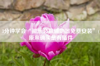 3分钟学会“微乐必赢辅助器免费安装”(原来确实是有插件