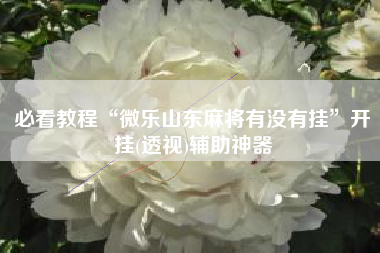 必看教程“微乐山东麻将有没有挂”开挂(透视)辅助神器