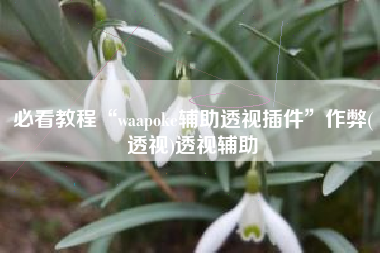 必看教程“waapoke辅助透视插件”作弊(透视)透视辅助