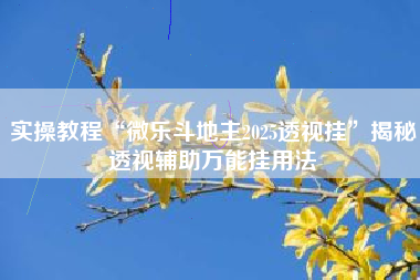 实操教程“微乐斗地主2025透视挂”揭秘透视辅助万能挂用法