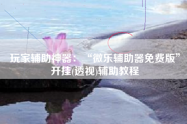 玩家辅助神器：“微乐辅助器免费版”开挂(透视)辅助教程