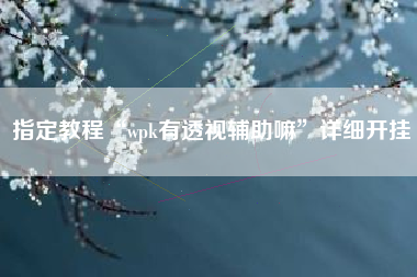 指定教程“wpk有透视辅助嘛”详细开挂