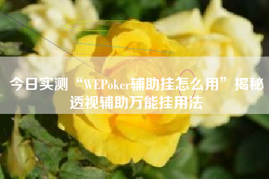今日实测“WEPoker辅助挂怎么用	”揭秘透视辅助万能挂用法