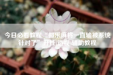 今日必看教程“微乐麻将一直输被系统针对了	”开挂(透视)辅助教程