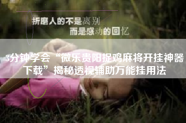 3分钟学会“微乐贵阳捉鸡麻将开挂神器下载”揭秘透视辅助万能挂用法