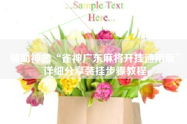 辅助神器“雀神广东麻将开挂通用版”详细分享装挂步骤教程