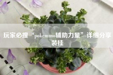 玩家必搜“pokemmo辅助力量”详细分享装挂