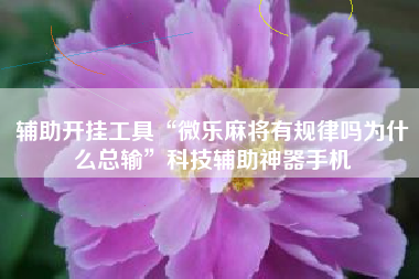 辅助开挂工具“微乐麻将有规律吗为什么总输”科技辅助神器手机