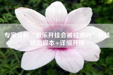 专家分析“微乐开挂会被检测吗	”开挂辅助脚本+详细开挂