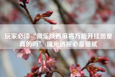 玩家必读“微乐陕西麻将万能开挂器是真的吗	”(曝光透视必备猫腻